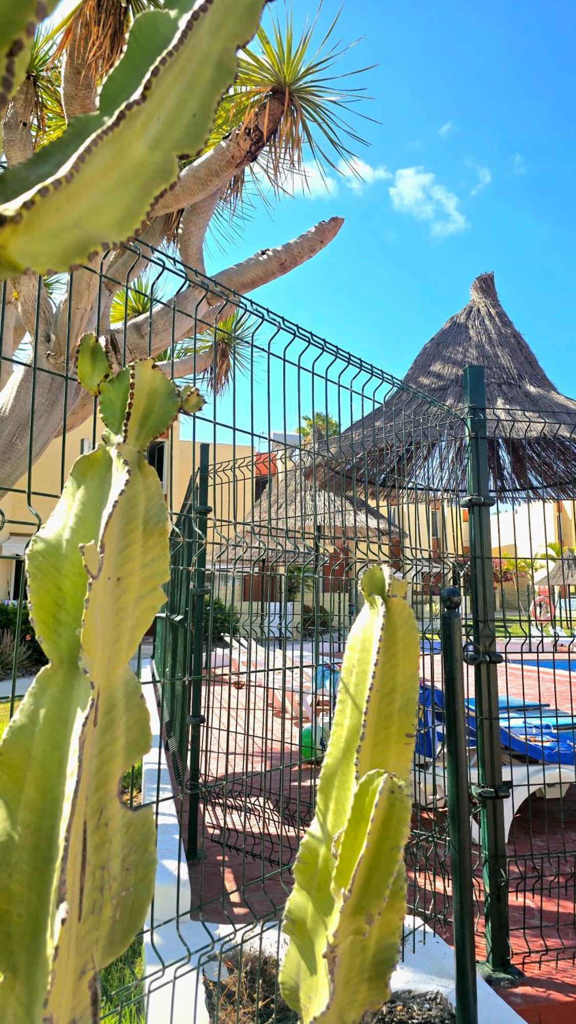 Dream Holiday Las Americas Playa de las Americas (Tenerife) Exterior foto